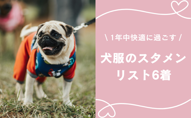 これだけあれば1年中安心！失敗しない犬服のスタメンリスト6着