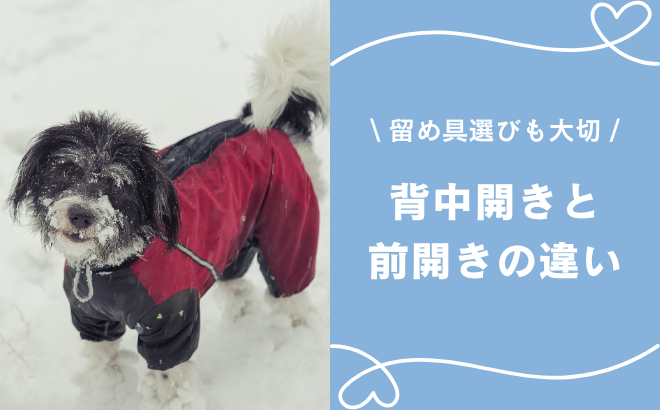 犬服の「背中開き」と「前開き」は何が違う？留め具にも注目すべき